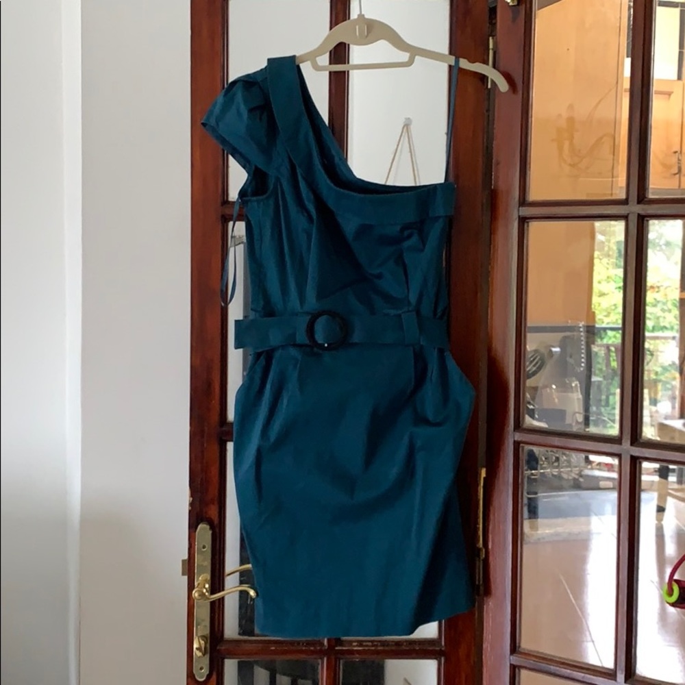 One shoulder, slight sleeved dress